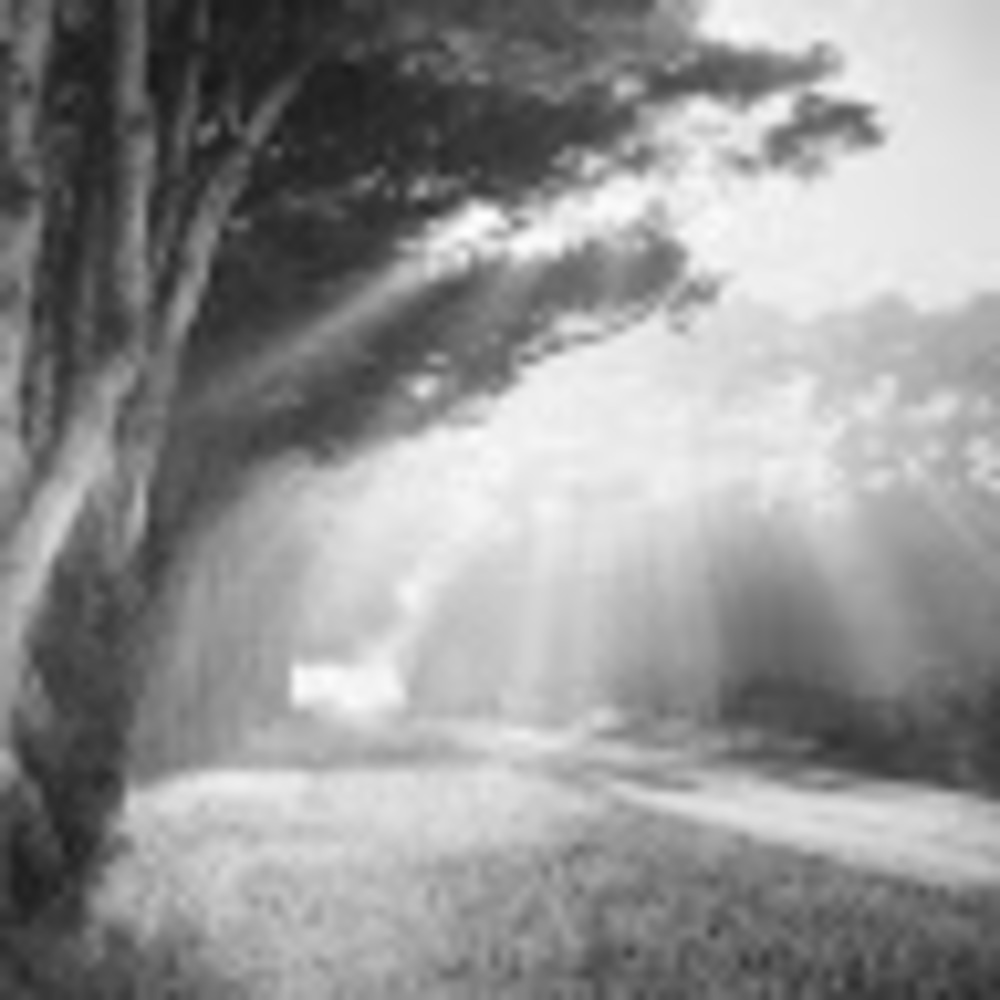 Meet your Posher, Steffie